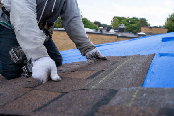 Best Sealant for Roof  in Hurlock, MD