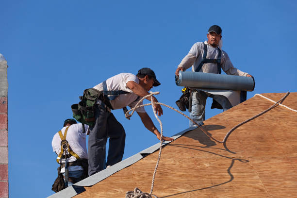 Best Roof Leak Repair  in Hurlock, MD