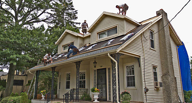 Best Roof Maintenance Services  in Hurlock, MD